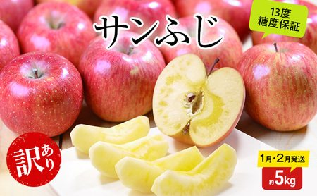 りんご [1月・2月発送] 糖度13度以上 訳あり品 家庭用 サンふじ 約 5kg [ 青森りんご 果物 フルーツ デザート 食後 青森県産 産地直送 贈り物 ]