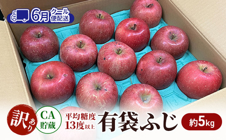 [6月 クール便配送]雪国鮮度をと閉じ込めた りんご [糖度13度以上で選果]CA貯蔵 訳あり 有袋ふじ 約5kg リンゴ 果物 青森県 鶴田町