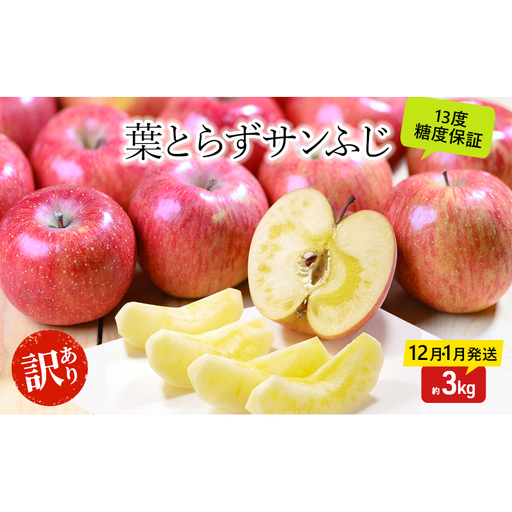 りんご [12月・1月発送] 蜜入り 糖度13度以上 訳あり品 家庭用 葉とらず サンふじ 約 3kg [ 青森りんご ] 果物 フルーツ 産地直送 糖度測定 褐変 チェック 贈り物 年末 挨拶