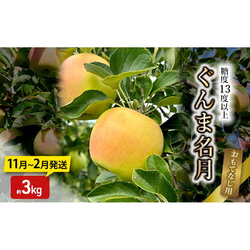 りんご[11月〜2月発送]糖度13度以上 ぐんま名月 おもてなし用 家庭用 約3kg[青森りんご]