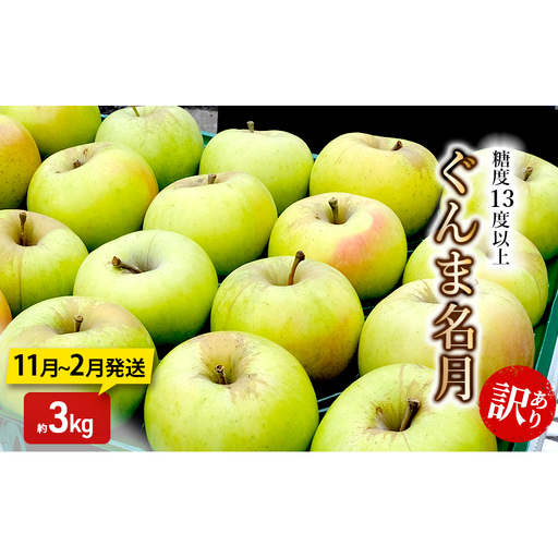 りんご[11月〜2月発送]糖度13度以上 訳あり品 家庭用 ぐんま名月 約3kg[青森りんご]