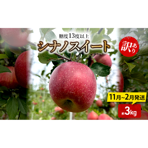 りんご[11月〜2月発送]糖度13度以上 訳あり品 家庭用 シナノスイート 約3kg[青森りんご]