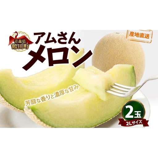 青森県産 つがりあんメロン 「アムさん」 2Lサイズ 2玉 完熟 甘い ジューシー ハウス栽培 弘果弘前中央青果 産地直送 メロン フルーツ 果物 ギフト 贈答 青森県 鶴田町