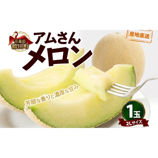 青森県産 つがりあんメロン 「アムさん」 2Lサイズ 1玉 完熟 甘い ジューシー ハウス栽培 弘果弘前中央青果 産地直送 メロン フルーツ 果物 ギフト 贈答 青森県 鶴田町
