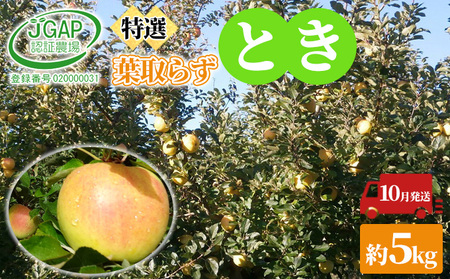 10月発送 贈答用 葉取らずとき 約 5kg[ 特選 ]鶴翔りんごGAP部会 青森県産 津軽産 リンゴ 林檎 トキ 果物類 JGAP認証 安心 甘い ギフト