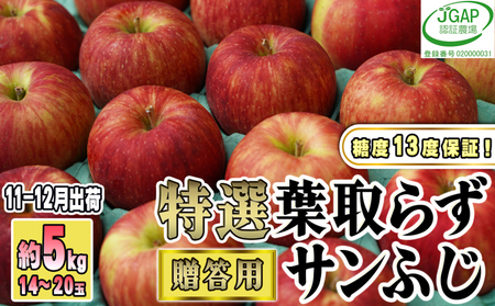 11〜12月発送[糖度保証]贈答用 葉取らず サンふじ 約5kg [特選][鶴翔りんごGAP部会 青森県産 津軽産 リンゴ 林檎]