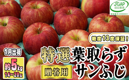 1月発送【糖度保証】贈答用 葉取らず サンふじ 約5kg 【特選】【鶴翔りんごGAP部会 青森県産 津軽産 リンゴ 林檎】