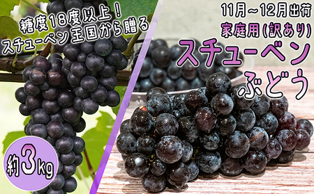 11〜12月 津軽ぶどう村 家庭用 スチューベン ぶどう約3kg 秀〜秀A[訳あり][青森ぶどう 鶴田町産 11月 12月]