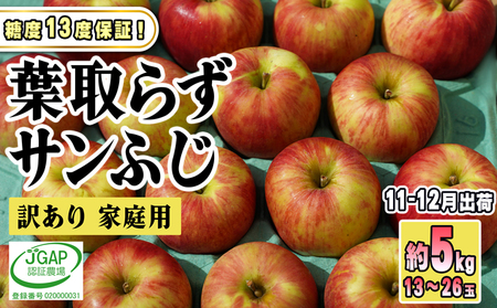 11〜12月発送[糖度保証]家庭用 葉取らず サンふじ 約5kg[訳あり][鶴翔りんごGAP部会 青森県産 津軽産 リンゴ 林檎]