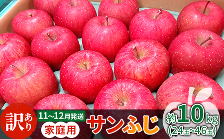 11～12月発送 家庭用 サンふじ 約10kg【訳あり】原正りんご 青森県産 津軽産 リンゴ 林檎