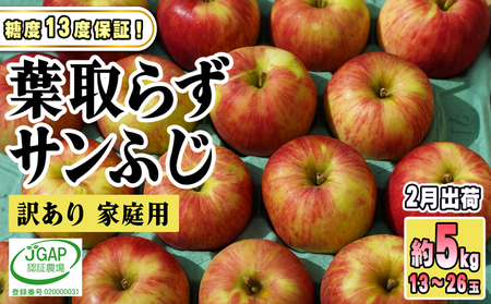 2月発送【糖度保証】家庭用 葉取らず サンふじ 約5kg【訳あり】【鶴翔りんごGAP部会 青森県産 津軽産 リンゴ 林檎】