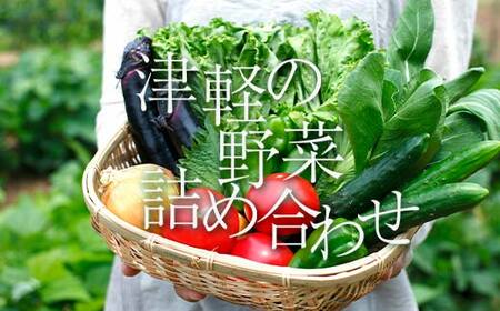 津軽の季節の野菜詰め合わせセット [中泊町特産物直売所ピュア] F6N-022