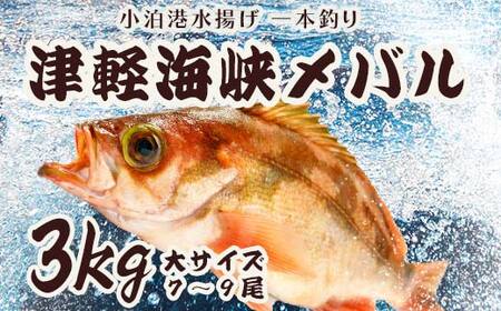 小泊港水揚げ 一本釣り 津軽海峡メバル 約3kg(7尾〜9尾入) [卓立水産] F6N-033