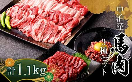 馬肉 焼肉用 約600g&馬刺し 約400g&馬肉ユッケ 約100g セットA 合計1.1kg (タレ付き)中泊町産 [青海建設 肉や] F6N-082