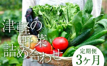 津軽の季節の野菜詰め合わせセット 《定期便》【3ヶ月連続】 【中泊町特産物直売所ピュア】旬の野菜 旬野菜 旬 新鮮 食品 グルメ 詰め合わせ ファーマーズマーケット 甘い サラダ 国産 お取り寄せ 青森 F6N-098