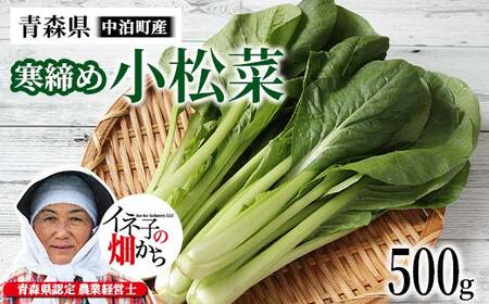 寒締め小松菜 約500g [イネ子の畑から] 新鮮 産地直送 サラダ おひたし おみそしる 旬 野菜 やさい こまつな F6N-282