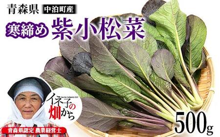 寒締め紫小松菜 約500g [イネ子の畑から] 新鮮 産地直送 サラダ おひたし おみそしる 旬 野菜 やさい こまつな F6N-284