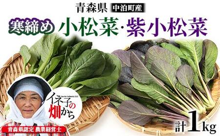 寒締め小松菜・紫小松菜 食べ比べ セット 約1kg (各500g) [イネ子の畑から] 新鮮 産地直送 サラダ おひたし おみそしる 旬 野菜 やさい こまつな おすすめ F6N-286
