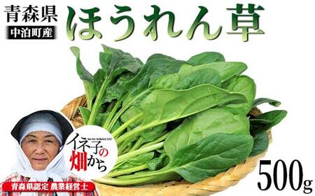 ほうれん草 約500g [イネ子の畑から] 新鮮 産地直送 サラダ おひたし お味噌汁 スムージー ほうれん草 ジュース ほうれんそう F6N-287