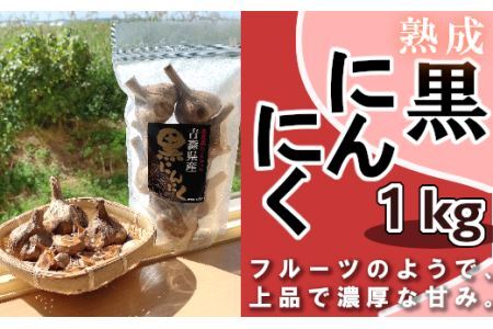 黒ニンニク1㎏の返礼品 検索結果 | ふるさと納税サイト「ふるなび」