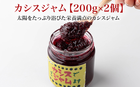 カシスジャム 200g×2個 [02402-0400]