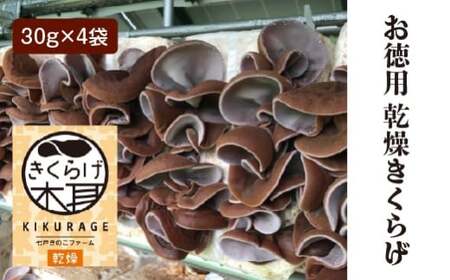 ���������炰�i30g�j×4�܁@�y02402-0427�z