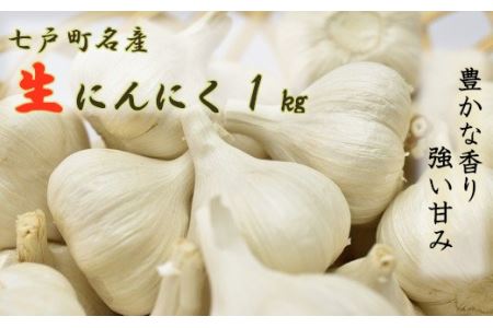 MdȐɂɂiPj@y02402-0089z