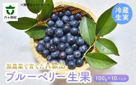 [2025年7月〜発送予定]ブルーベリー生実 A級品 1kg 100g×10パック