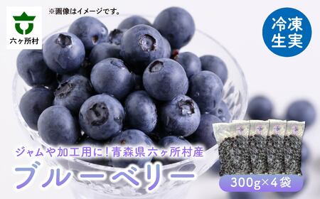 冷凍ブルーベリー300g×4袋