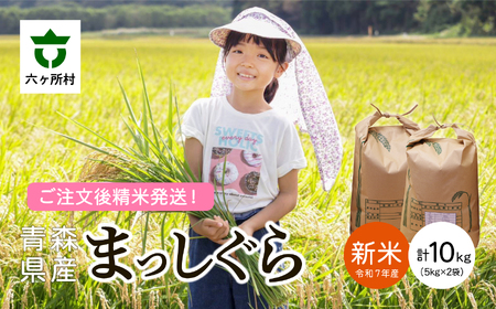 X ZPY ܂  10kgi{Yj