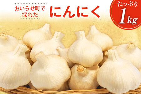 にんにく 青森 おいらせ町産 1kg [アグリの里おいらせ 青森県 おいらせ町 oi02ayo590000] ニンニク 国産 家庭用 普段使い スタミナ