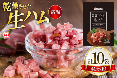 ���������� ���n�� 40g 10�� [���{�n���}�[�P�e�B���O �X�� �����点�� oi02ayo820023]