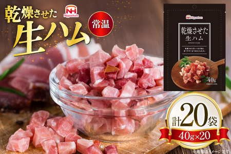 ���������� ���n�� 40g 20�� [���{�n���}�[�P�e�B���O �X�� �����点�� oi02ayo820022]