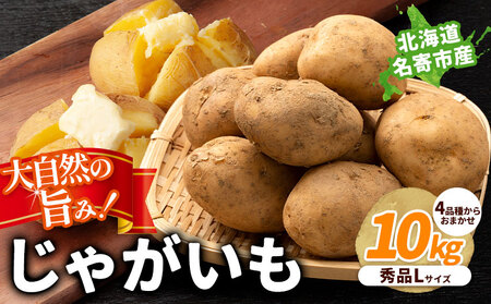 北海道名寄産 じゃがいも 10kg 秀品 Lサイズ じゃがいも