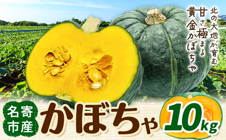 北海道名寄産 かぼちゃ 10kg 5玉〜6玉北海道 名寄市 野菜 かぼちゃ 南瓜 黄金かぼちゃ先行予約[2026年10月上旬-10月下旬頃出荷]