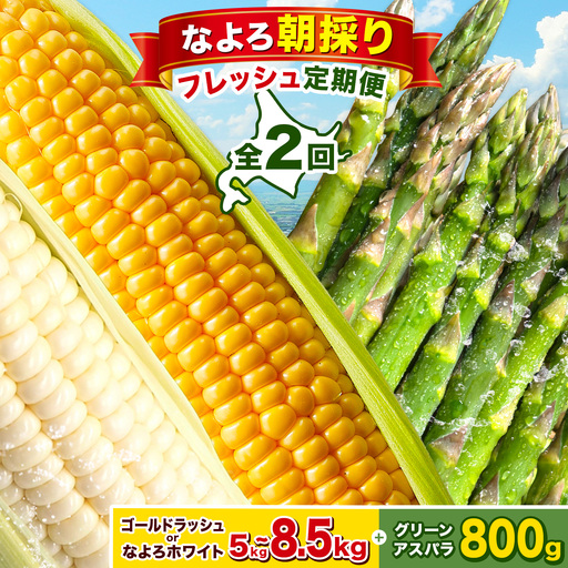 定期便 全2回 旬の夏野菜セット とうもろこし アスパラ 北海道名寄市[2026年8月上旬-2027年5月下旬頃出荷]
