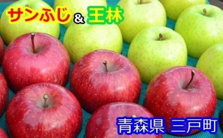 りんご【サンふじ＆王林】セット 14～18玉（約5kg）【2024年産・先行予約】　りんごりんごりんごりんごりんごりんごりんごりんごりんごりんご サンふじサンふじサンふじサンふじサンふじ 王林王林王林王林王林王林王林王林王林王林王林 青森青森青森青森青森青森青森青森青森青森 リンゴリンゴリンゴリンゴリンゴリンゴリンゴリンゴリンゴリンゴ