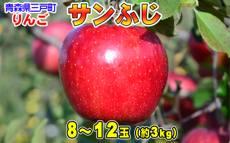 りんご[サンふじ]8〜12玉(約3kg)[2024年産・先行予約]りんご サンふじ 青森青森青森青森 リンゴリンゴリンゴリンゴリンゴリンゴリンゴリンゴリンゴリンゴ