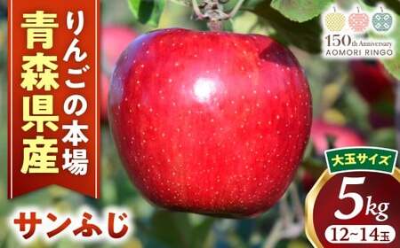 青森県産りんご 大玉 サンふじ 約5kg 12月上旬〜 りんご