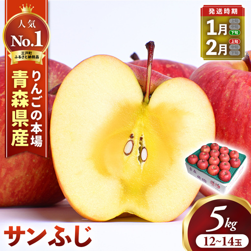 青森県産りんご サンふじ 約5kg 1月下旬～ りんご
