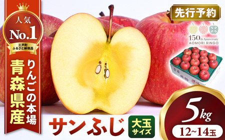 青森県産りんご 大玉 サンふじ 約5kg 11月下旬〜 りんご