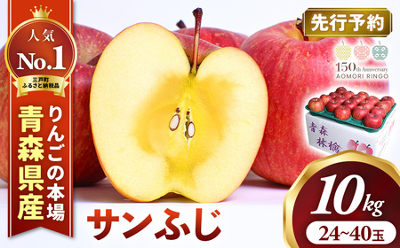 大容量 青森県産りんご 11月下旬〜 サンふじ 10kg りんご