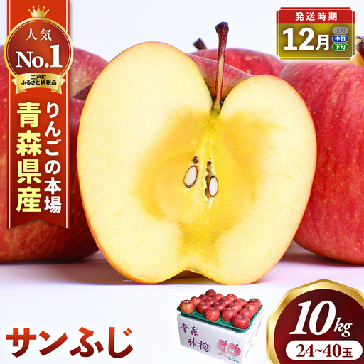 大容量 青森県産りんご 12月中旬～ サンふじ 10kg りんご