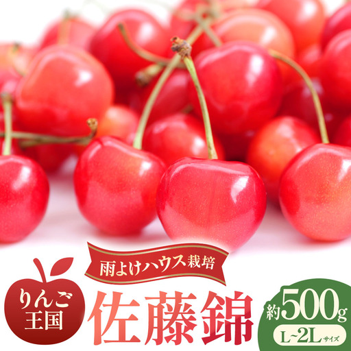 さくらんぼ[佐藤錦]約500g(L〜2Lサイズ)バラ詰め[2026年産・先行予約]