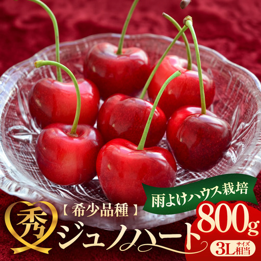 高級さくらんぼ「ジュノハート」(3L相当以上・800g) バラ詰め