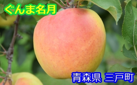りんご[ぐんま名月]12〜18玉(約5kg)[2024年産・先行予約]