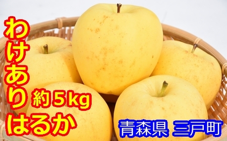 【訳あり】高級りんご「はるか」12～20玉（約5kg）【先行受付】