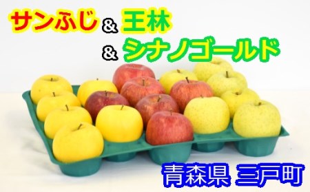 りんご[サンふじ&王林&シナノゴールド]セット(約5kg)[2024年産・先行予約] りんご サンふじ 王林王林王林 シナノゴールドシナノゴールドシナノゴールドシナノゴールド 青森青森青森青森 リンゴリンゴリンゴリンゴリンゴリンゴリンゴリンゴリンゴリンゴ