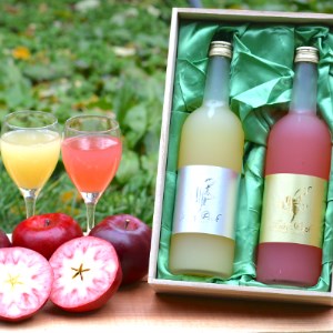 �yFairy Pink�z�X���Y�g�̖��g�p �t�F�A���[�s���N�����⃉�x���M�t�g�q�ؔ�����r�y�z���s�n��F�����E���ꌧ�z�y1218411�z