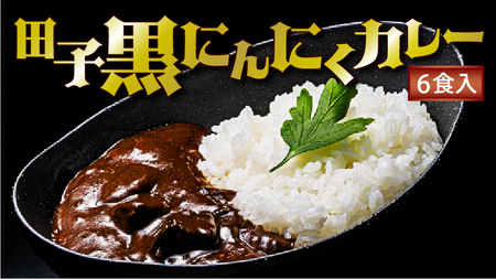 田子黒にんにくカレー 6食入